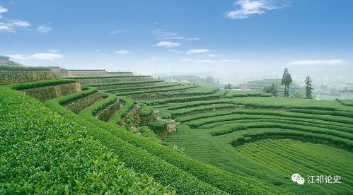 蔡鍔主政云南時(shí)期的實(shí)業(yè)興辦與發(fā)展